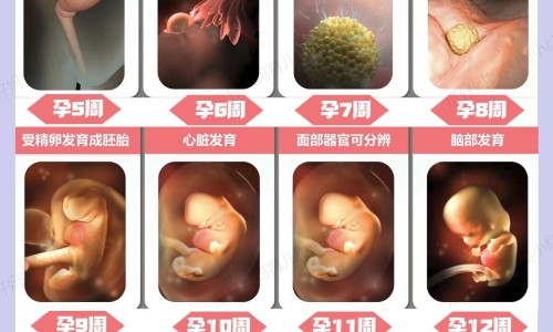 哺乳期可以喝杭菊花吗会回奶吗-哺乳期可以喝杭菊花吗会回奶吗,中国哺乳期可以喝杭菊花吗网站